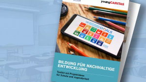 Titelseite Broschüre mit Handy mit den SDGs